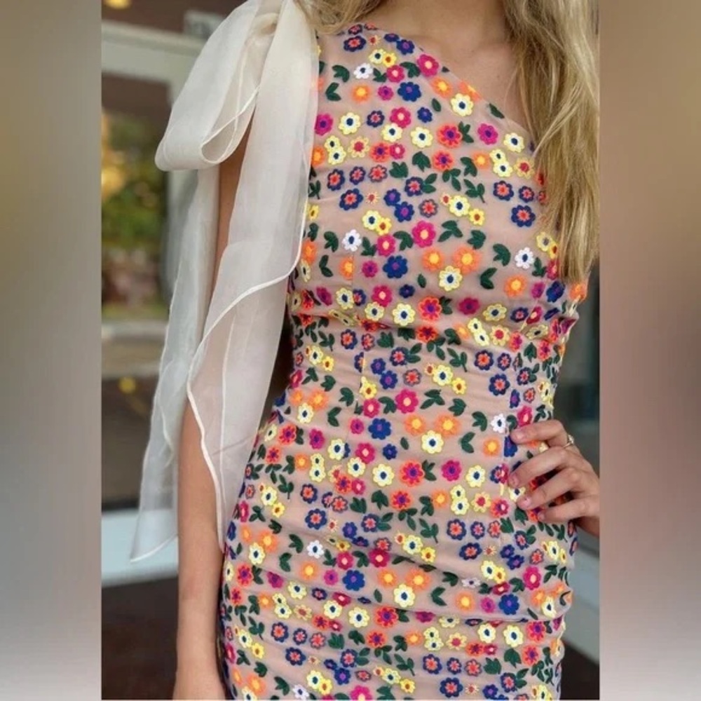 Elliatt Multicolor Floral One-Shoulder Dress